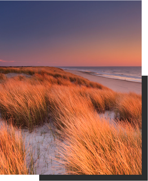 Photo of the beach at sunset
